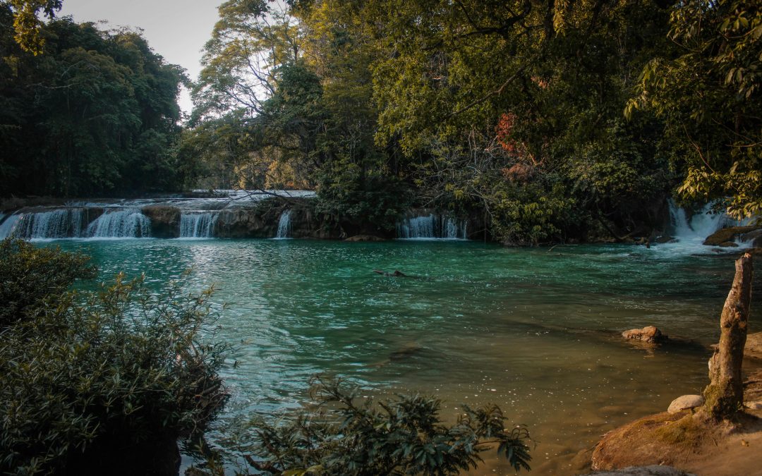 Sheinbaum afirma que México no entregará “agua que no tiene” en acuerdo con Estados Unidos