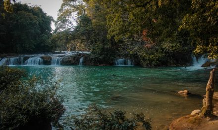 Sheinbaum afirma que México no entregará “agua que no tiene” en acuerdo con Estados Unidos