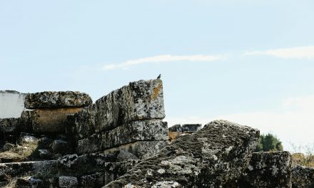 Hallazgo arqueológico en Puebla