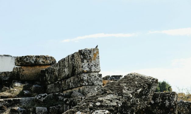 Hallazgo arqueológico en Puebla