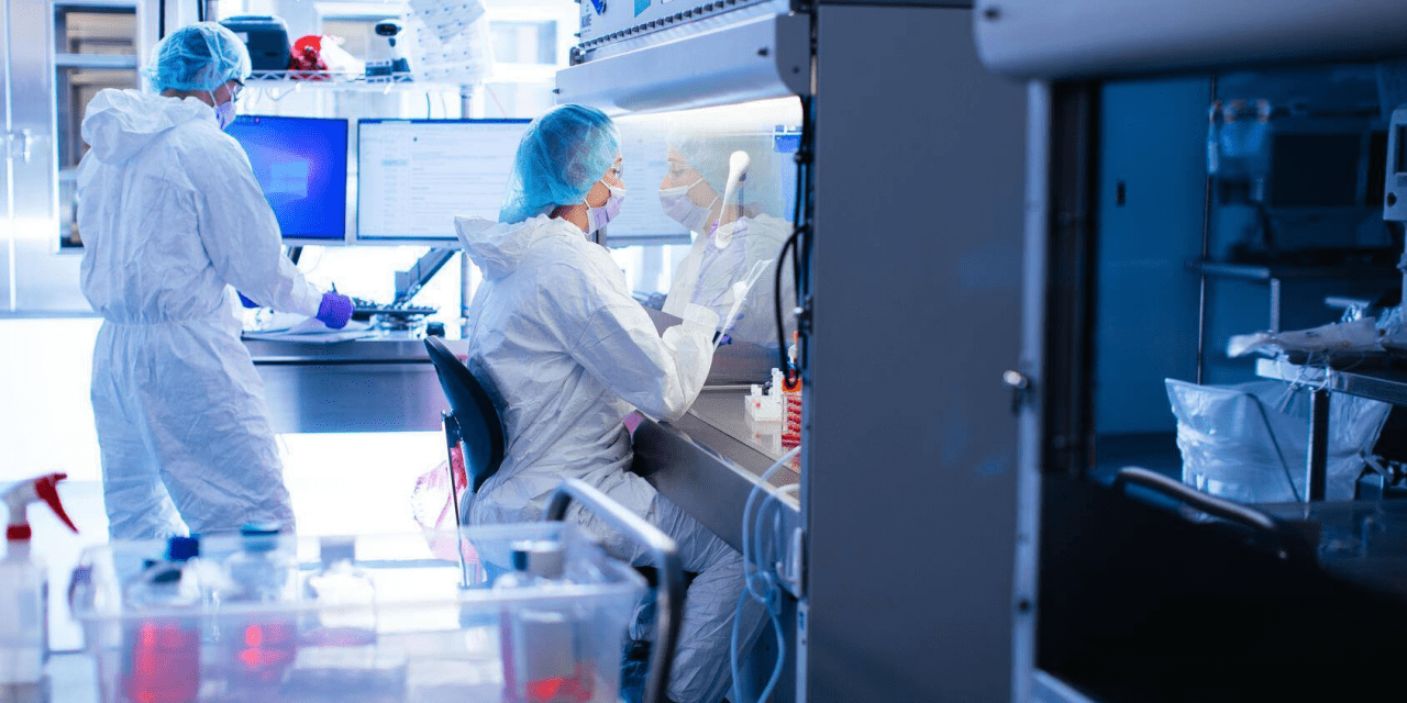 Una nueva técnica de Mayo Clinic identifica las proteínas que desencadenan respuestas inmunitarias en trasplantes y en implantes