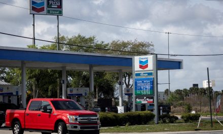 Trump afirma que apoya la suspensión del impuesto a la gasolina en Estados Unidos mientras los precios se mantengan altos.