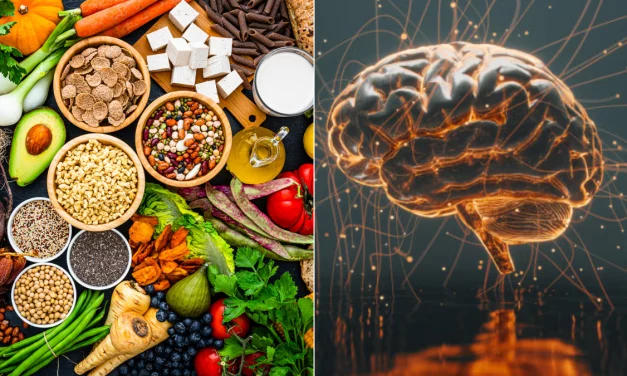 Tu alimentación puede determinar cómo envejece tu cerebro