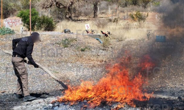 FGR LLEVA A CABO DESTRUCCIÓN DE 430 MIL CIGARROS ILEGALES Y OTROS OBJETOS DEL DELITO