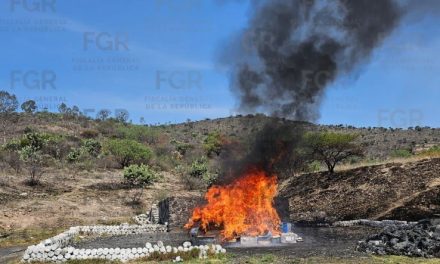 FGR LLEVA A CABO LA INCINERACIÓN DE MÁS DE 400 KILOS DE DIVERSOS NARCÓTICOS