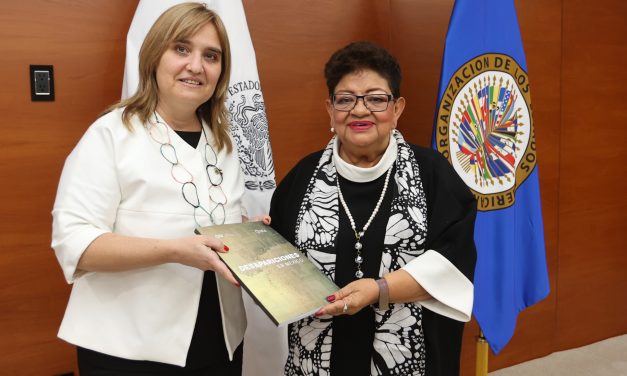 SE REÚNE TITULAR DE FGR CON INTEGRANTES DE LA CIDH “JUNTOS SOMOS MÁS FUERTES”, COINCIDEN