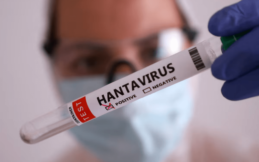 La OMS informa de seis casos confirmados de hantavirus relacionados con un crucero con destino a España.