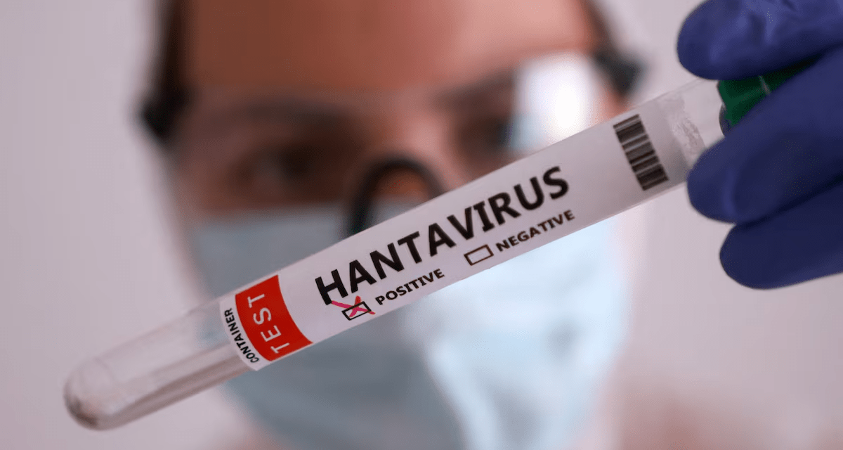 La OMS informa de seis casos confirmados de hantavirus relacionados con un crucero con destino a España.