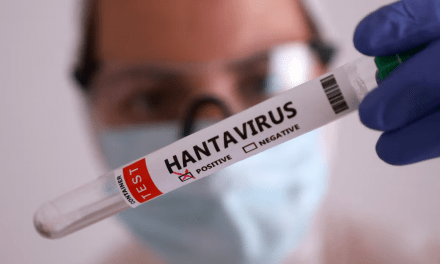 La OMS informa de seis casos confirmados de hantavirus relacionados con un crucero con destino a España.