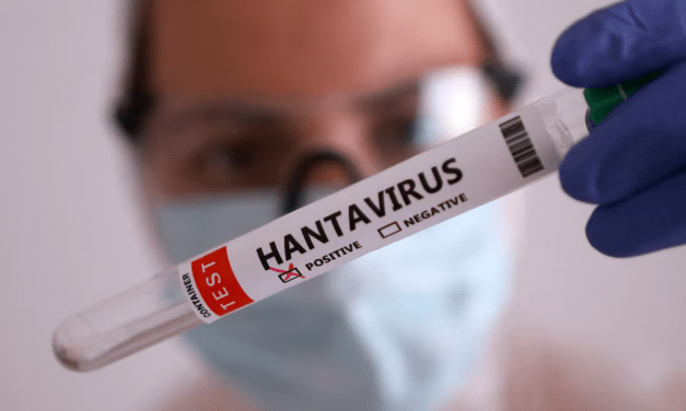 La OMS informa de seis casos confirmados de hantavirus relacionados con un crucero con destino a España.