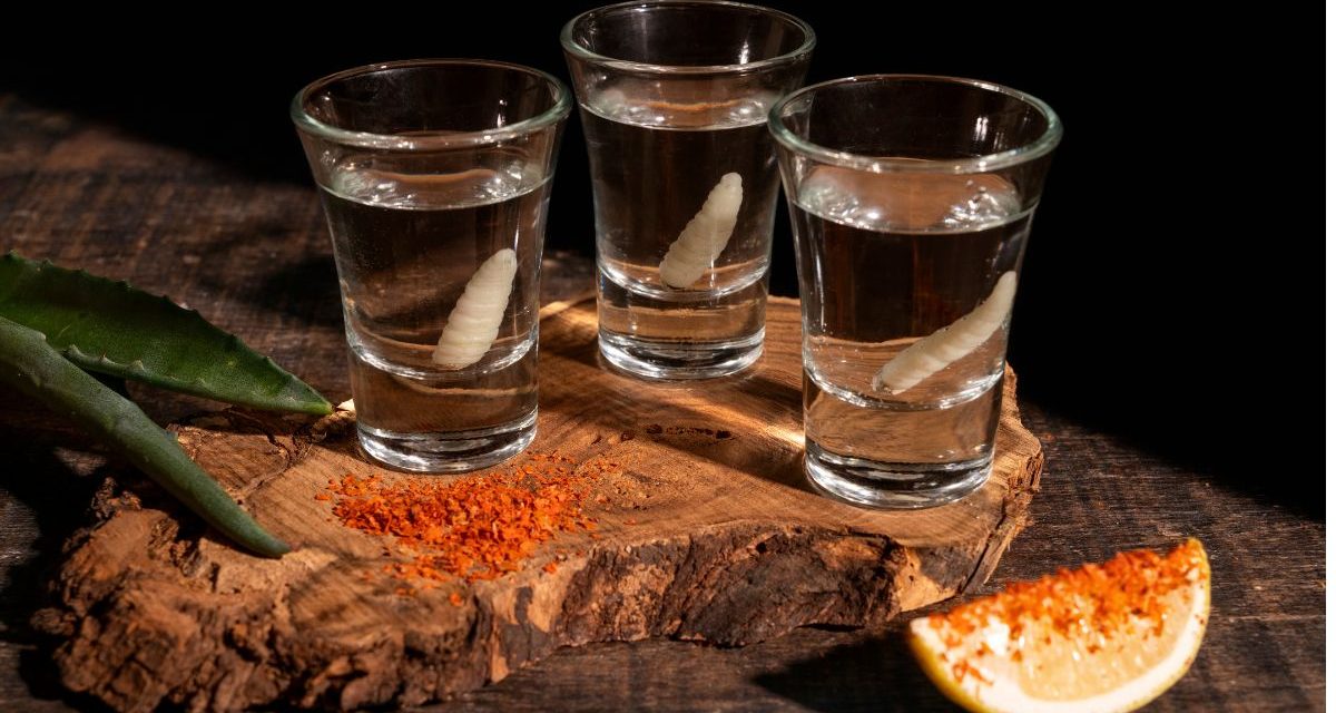 Reunirá “Sabores Mezcaleros” a productores yemprendedores mexicanos en Coyoacán.