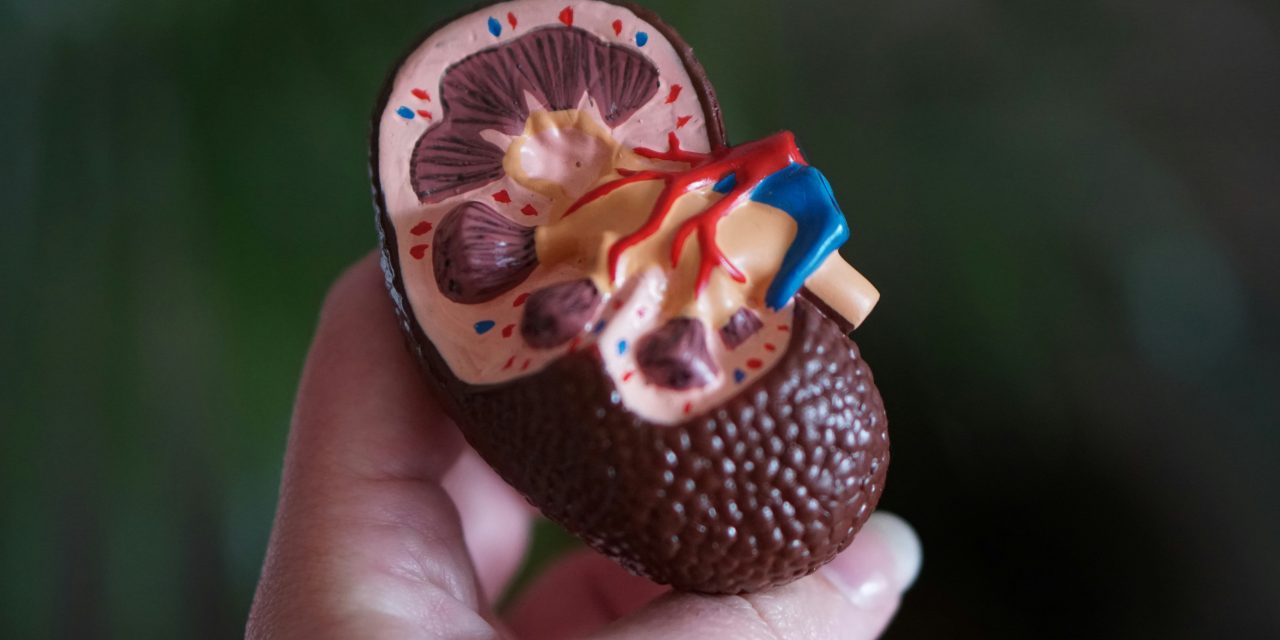 Mayo Clinic desarrolla una herramienta de inteligenciaartificial para ayudar a detectar el cáncer de páncreas hasta