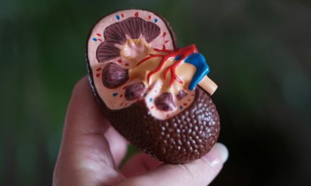 Mayo Clinic desarrolla una herramienta de inteligenciaartificial para ayudar a detectar el cáncer de páncreas hasta