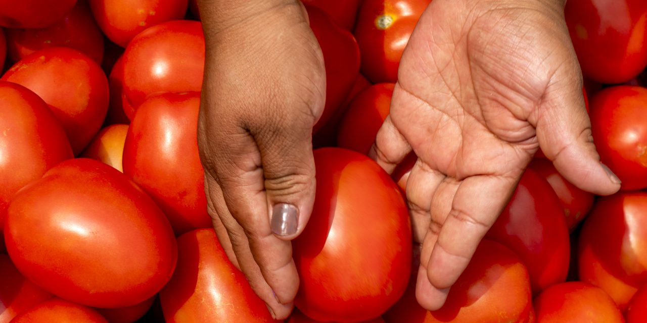 Justicia para el campo: Gobierno de México y sector privado firman Acuerdo Nacional para el precio justo del jitomate