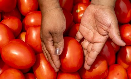 Justicia para el campo: Gobierno de México y sector privado firman Acuerdo Nacional para el precio justo del jitomate