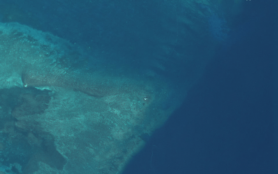 Exclusiva: Imágenes satelitales muestran una estructura sospechosa en un atolón en disputa en el Mar de China Meridional, pero luego desapareció. 