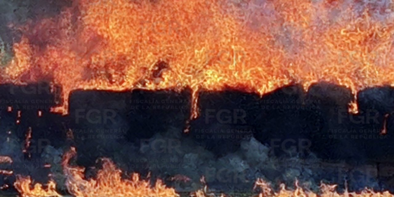 FGR INCINERA MÁS DE DOS TONELADAS DE NARCÓTICOS EN JALISCO