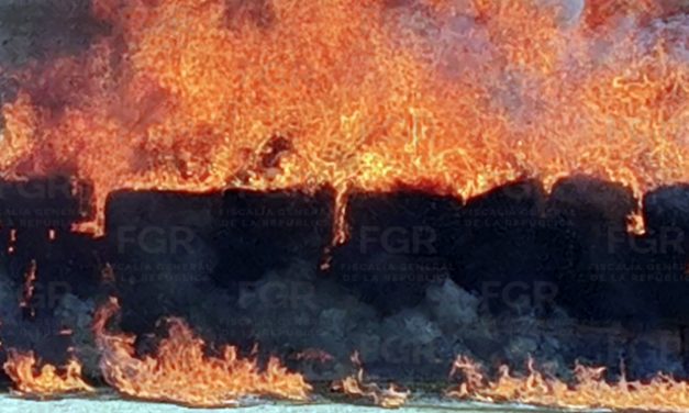 FGR INCINERA MÁS DE DOS TONELADAS DE NARCÓTICOS EN JALISCO
