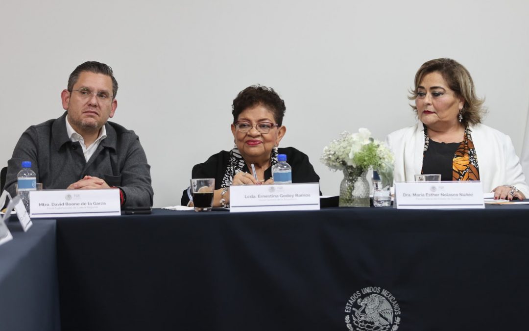 LA COORDINACIÓN INSTITUCIONAL, PRINCIPAL FUENTE DE RESULTADOS CONTRA LA INSEGURIDAD: EGR