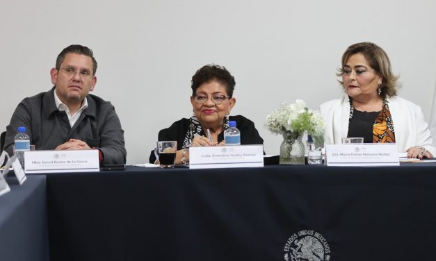 LA COORDINACIÓN INSTITUCIONAL, PRINCIPAL FUENTE DE RESULTADOS CONTRA LA INSEGURIDAD: EGR