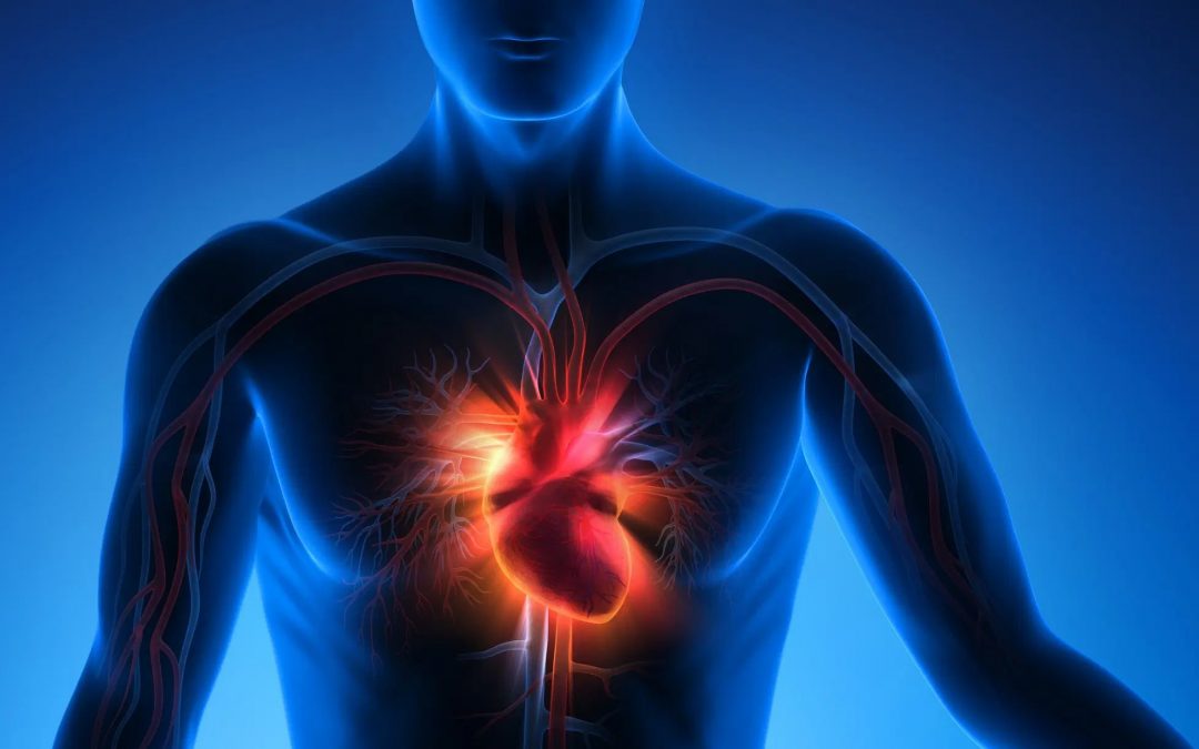 Pasión mundialista y salud cardiovascular:¿sabías que emociones intensas pueden impactar el corazón de los aficionados?