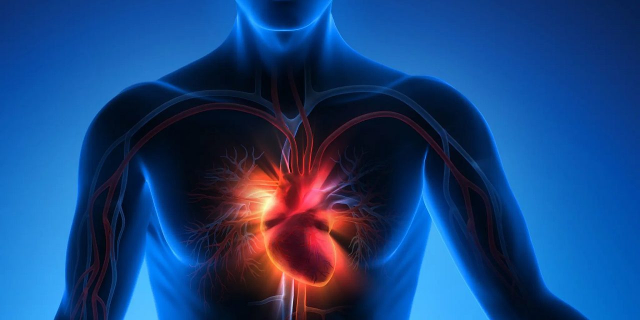 Pasión mundialista y salud cardiovascular:¿sabías que emociones intensas pueden impactar el corazón de los aficionados?
