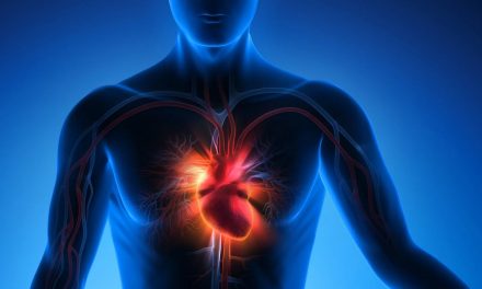Pasión mundialista y salud cardiovascular:¿sabías que emociones intensas pueden impactar el corazón de los aficionados?