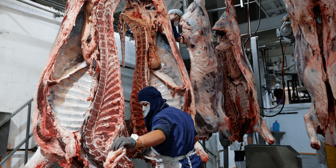 El cierre de la frontera por la mosca barrenadora impulsa el auge de la carne de res en México y el pesimismo en Texas.