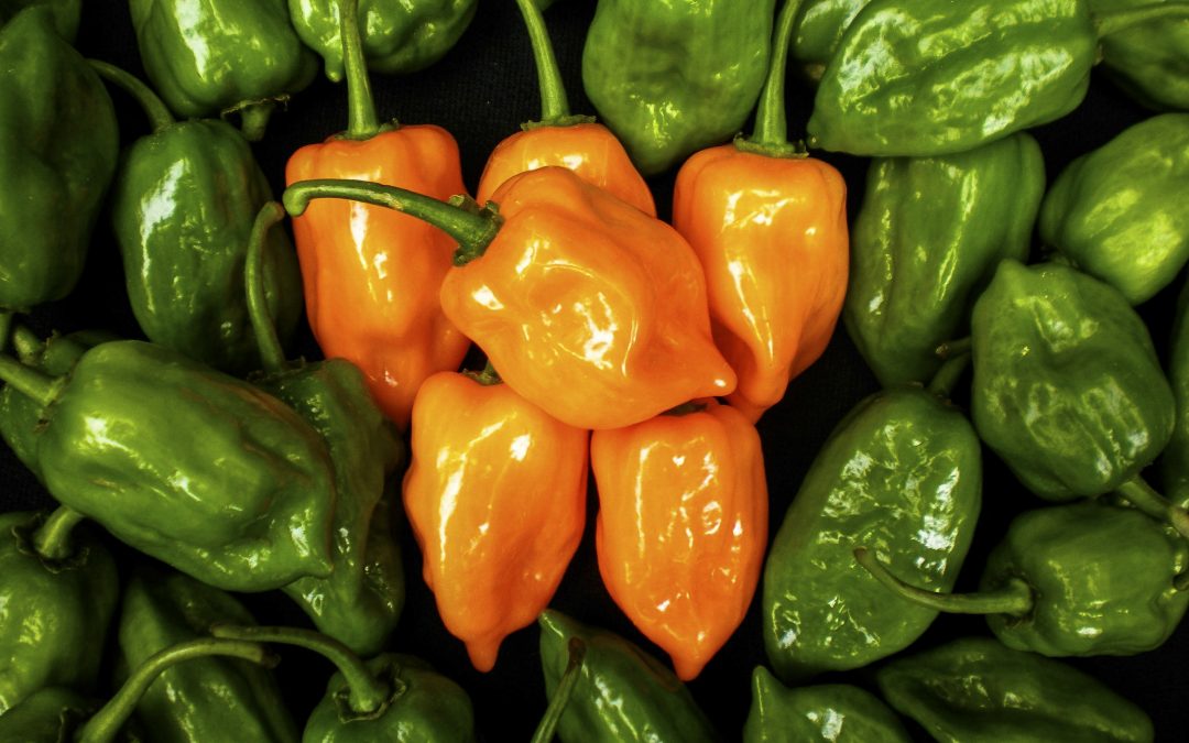 México logra cifra récord de 184 mdd en envío de alimentos al Reino Unido