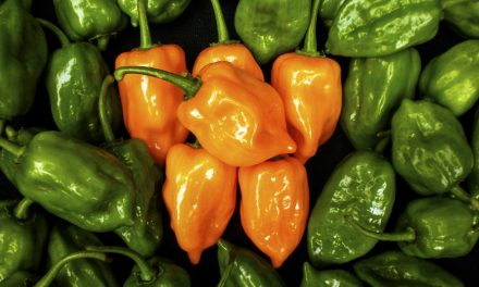 México logra cifra récord de 184 mdd en envío de alimentos al Reino Unido
