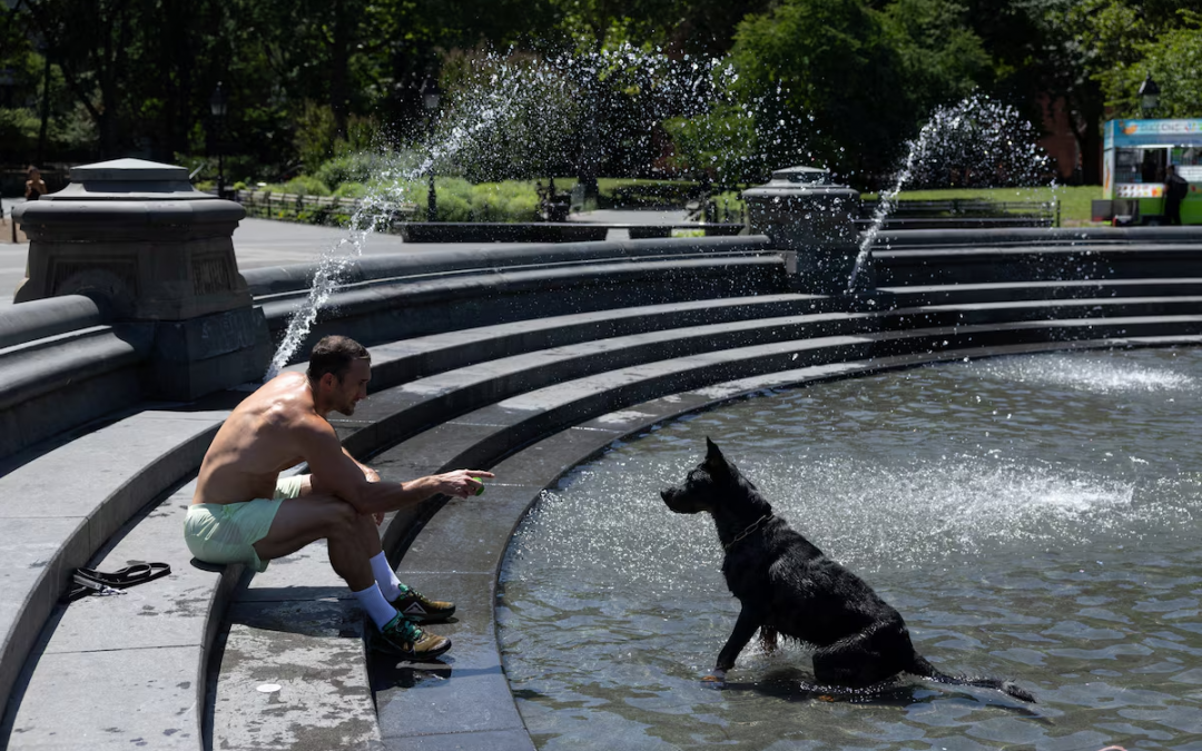 La ola de calor interrumpe los eventos del 4 de julio en todo Estados Unidos y sobrecarga las redes eléctricas.