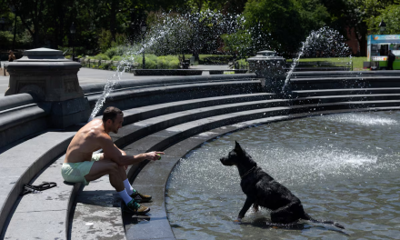 La ola de calor interrumpe los eventos del 4 de julio en todo Estados Unidos y sobrecarga las redes eléctricas.