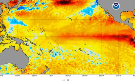 El Niño se fortalece y sus efectos de lluvias y ciclones comenzarán a percibirse en próximas semanas sobre México