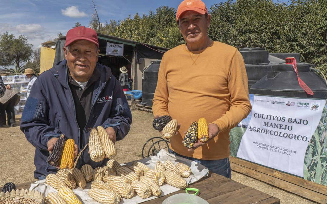 Másde 170 mil productores se capacitan en las Escuelas de Campo AGRICULTURA