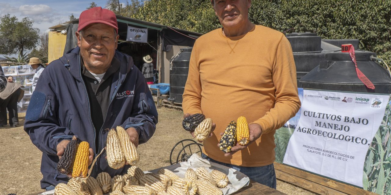 Másde 170 mil productores se capacitan en las Escuelas de Campo AGRICULTURA