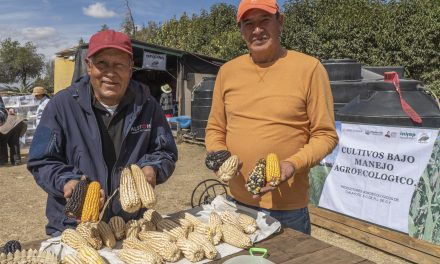 Másde 170 mil productores se capacitan en las Escuelas de Campo AGRICULTURA