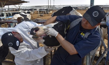 Reconoce AGRICULTURA pasión y profesionalismo de veterinarios para proteger el patrimonio pecuario
