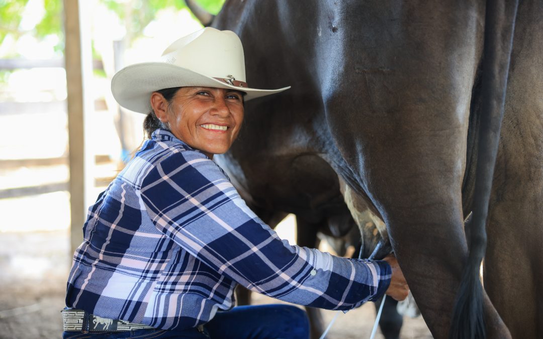 Leche para el Bienestar supera 13 mil 500 puntos de distribución y atiende a 90.2% de los municipios del país