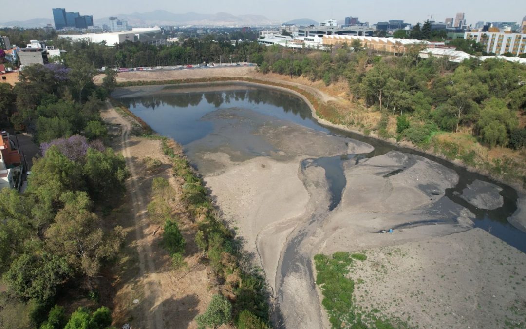Cientos de familias viven junto a una cloaca a cielo abierto; Colonos TK exige acciones inmediatas para proteger la salud pública