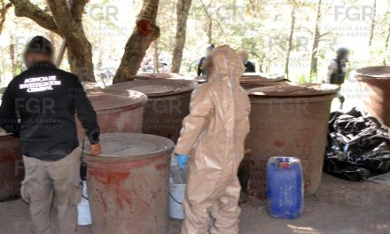EN CATEO FGR ASEGURA PRECURSORES QUÍMICOS PROBABLEMENTE UTILIZADOS PARA LA ELABORACIÓN DE DROGAS SINTÉTICAS