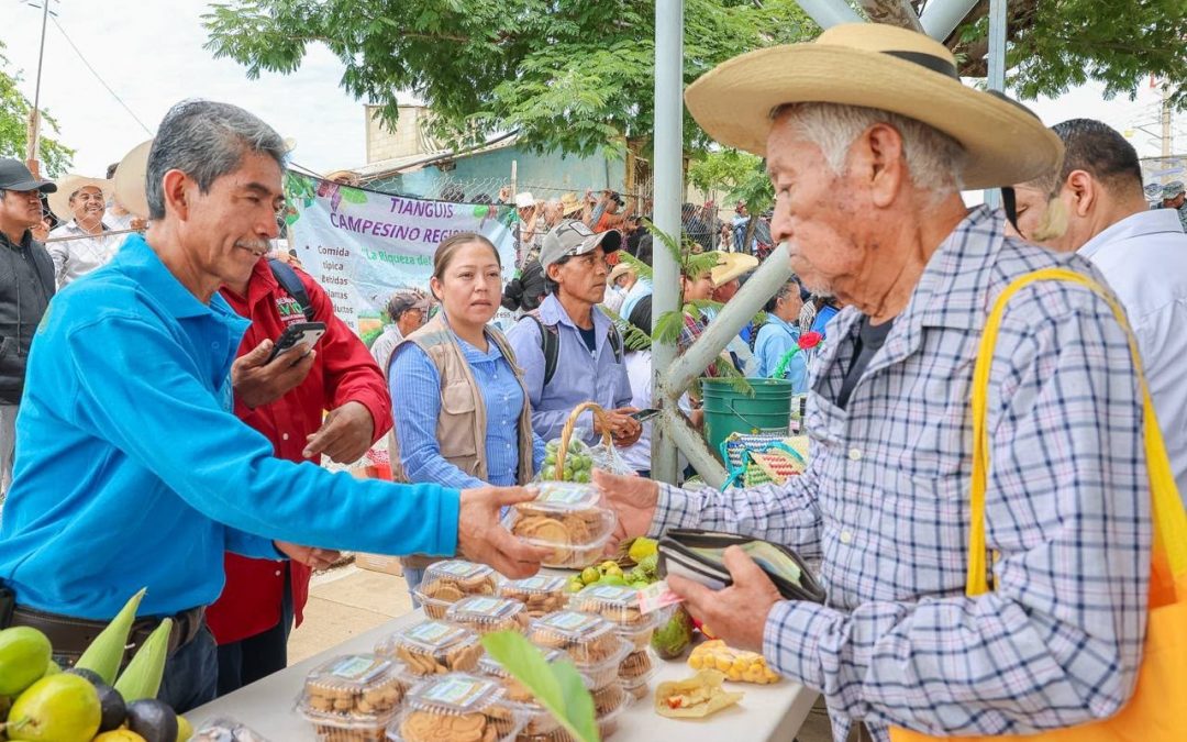 AGRICULTURA pone en marcha plan integral para reactivar el campo en la Montaña de Guerrero