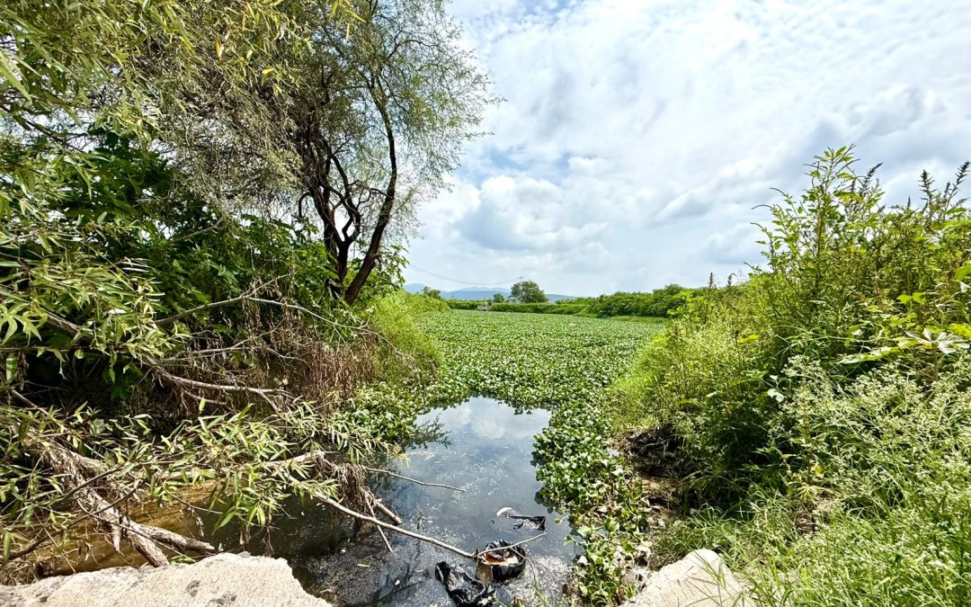 Los ríos no son drenajes: autoridades actúan ante presunta descarga de residuos en un afluente del río Santiago.