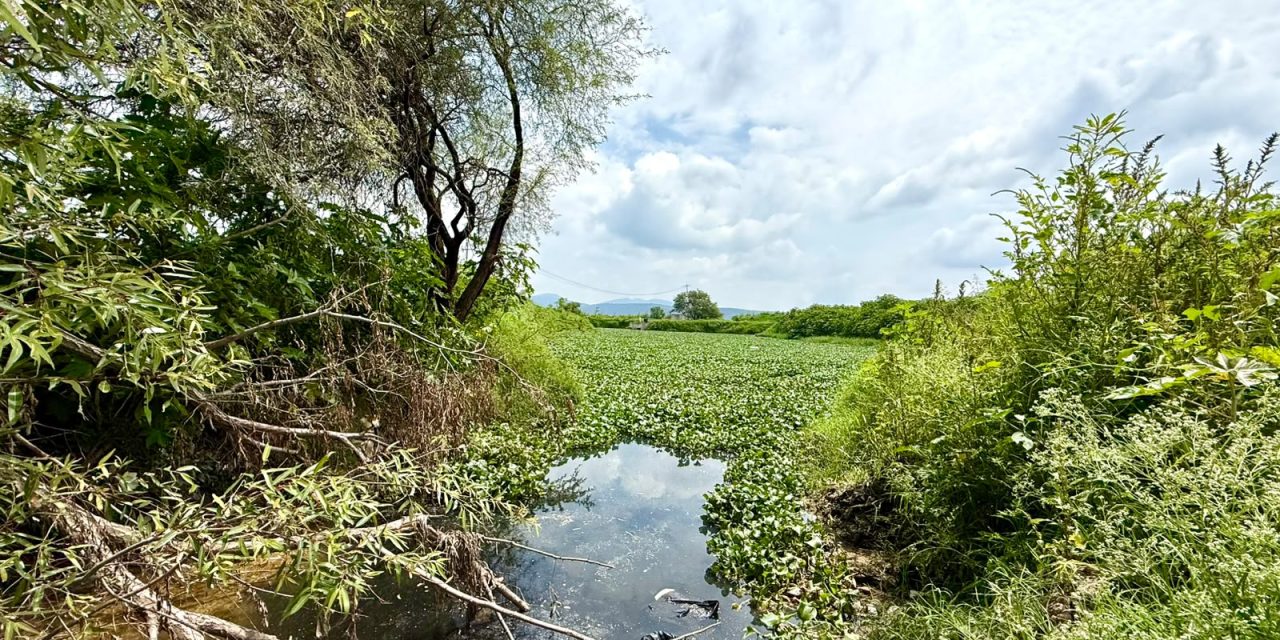 Los ríos no son drenajes: autoridades actúan ante presunta descarga de residuos en un afluente del río Santiago.