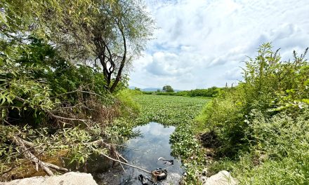 Los ríos no son drenajes: autoridades actúan ante presunta descarga de residuos en un afluente del río Santiago.