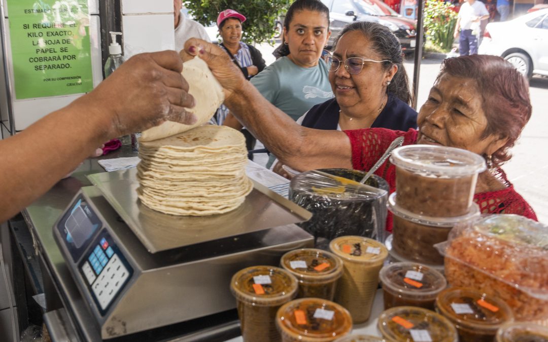 Se garantiza estabilidad del precio de la tortilla con abasto suficiente de maíz blanco