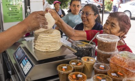 Se garantiza estabilidad del precio de la tortilla con abasto suficiente de maíz blanco