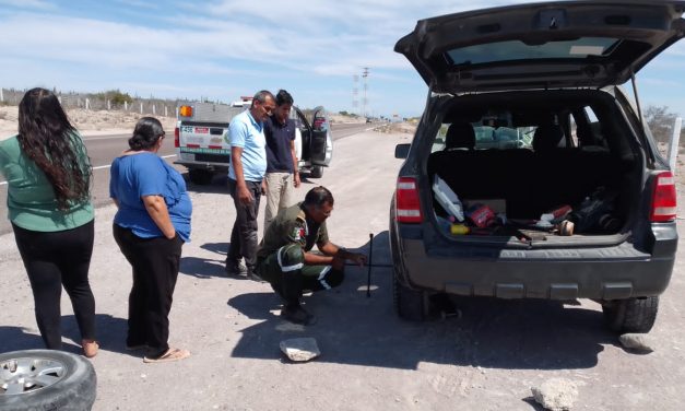Ángeles Verdes atiende a más de 125 mil turistas y brinda cerca de 43 mil servicios durante el verano