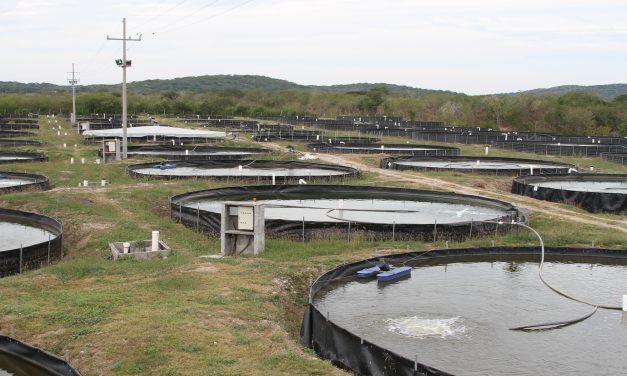 Abre Conapesca inscripciones para el Programa de Energía Eléctrica para Uso Acuícola 2027