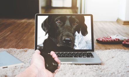 Valida y acompaña el duelo por tu mascota: ¿Qué espacios me pueden ayudar?